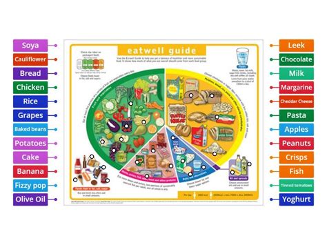 The Eatwell Guide Sorting Labelled Diagram