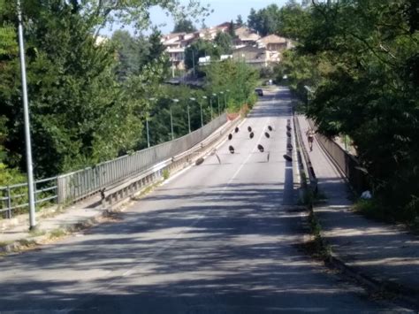 Ponte San Nicola In Corso Il Sopralluogo Della Commissione Tecnica Foto