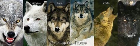 Teoria Lobos Stark Game Of Thrones En Español Amino