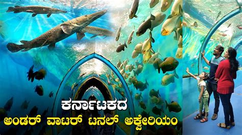 Karnatakas Underwater Tunnel Aquarium Lokaranjan Aqua World Things