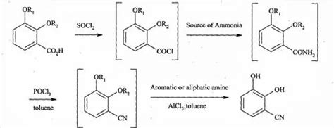 Dichloro Nitropyridine Kg At Rs Kg In Rangareddy