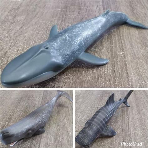 Jual Miniatur Ikan Hiu Paus Biru Sperma Sperm Whale Shark Blue Whale