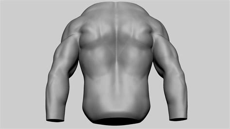 Artstation Male Torso 07 Resources