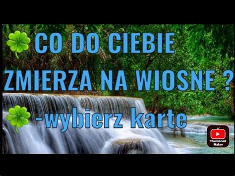 Co Do Ciebie Zmierza Na Wiosne Wybierz Kart Youtube