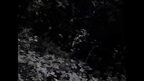 Roberto Malone Big Booty Search Xvideos