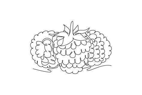 Single Continuous Line Drawing Of Whole Healthy Vector Image