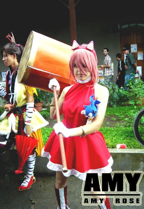 Amy Rose Cosplay by Dianmari on DeviantArt