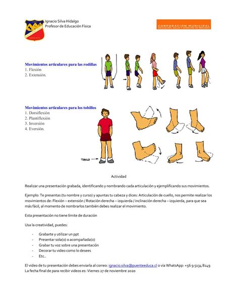 Ejercicio De Articulaciones Y Sus Movimientos Movimientos Ejercicios