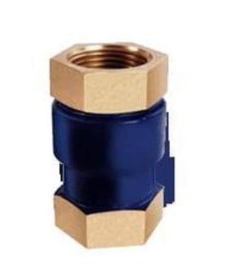 Vertical Check Valve In Kolkata West Bengal Vertical Check Valve