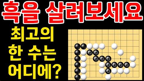 사활 바둑 묘수 최고의 한 수를 두어 흑을 살려보세요 1급 문제 바둑 사활 바둑강좌 Youtube