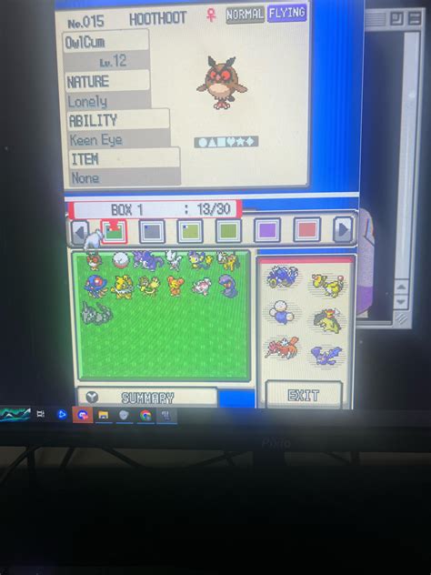 Elite 4 Team Reccomendations Hgss Rnuzlocke