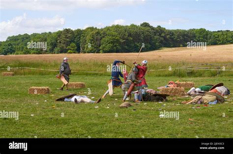 Viking battle reenactment scene Stock Photo - Alamy