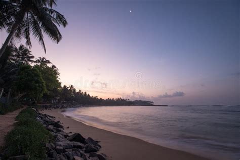 Paradise Beach of Sri Lanka at Sunrise. Stock Image - Image of jungle, indian: 91343047