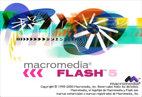 Silverlight Web Flash