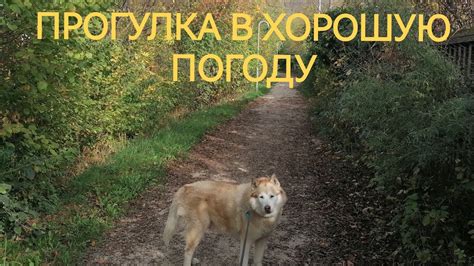 В ГЕРМАНИИ ХОРОШАЯ ПОГОДА - YouTube
