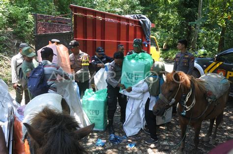 Distribusi Logistik Pemilu Menggunakan Kuda Di Jember Antara Foto