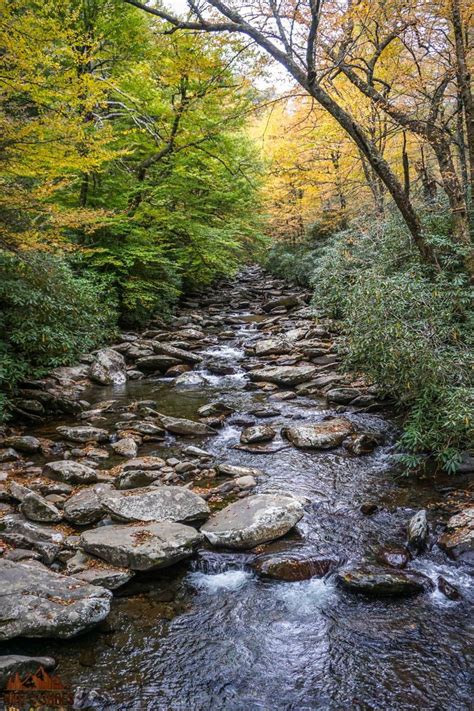 Things You Can T Miss On Your First Visit To The Great Smoky