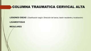 Columna Traumatica Cervical Alta Ppt