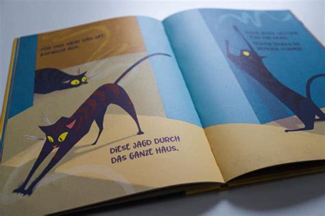 Katzen K Nnen Geister Sehen Kinderbuch Berggeschwister