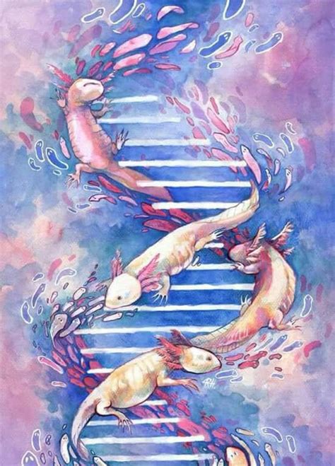 Three Koi Fish Swimming In The Water With Their Tails Spread Out To