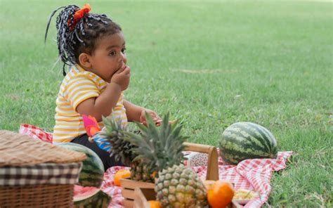 Black Family Picnic Images – Browse 5,167 Stock Photos, Vectors, and ...