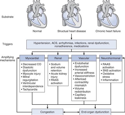 Acute Decompensated Heart Failure Clinical Tree