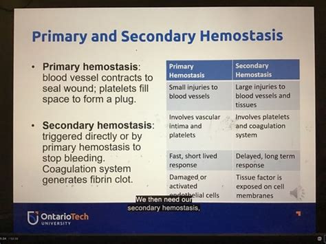 Coag Regulation And Fibrinolysis Flashcards Quizlet