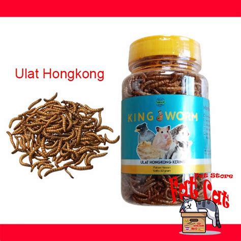 Jual Ulat Hongkong King Worm Kering 50 Gr Sugar Glider Ikan Landak