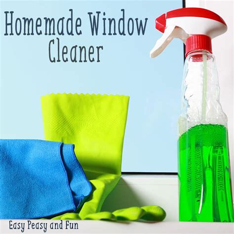 Homemade Window Cleaner Recipe - Easy Peasy and Fun