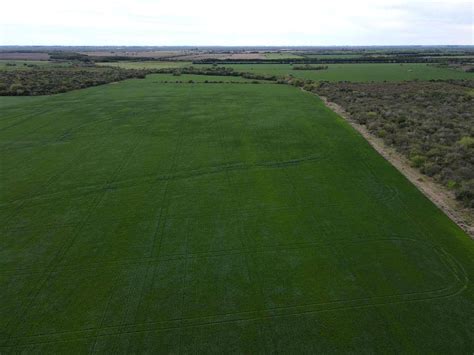 Hect Reas Agr Colas Con Mejoras Rosario Del Tala Agroads