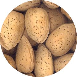 Almonds In Shell Nuts Buy Almonds In Shell Online At