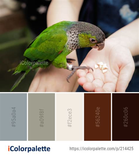 109 Parrot Color Palette ideas in 2024 | iColorpalette