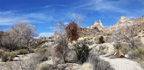 Grapevine Canyon - Nevada - One Journey