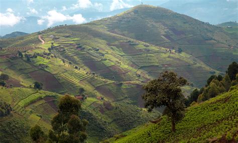 Rwanda The Country Of A Thousand Hills Unique Rwanda Vacation Experts