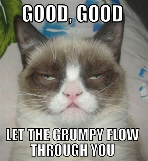 Good Good Let The Grumpy Flow Through You Grumpy Cat Meme Funny Grumpy Cat Memes Grumpy Cat