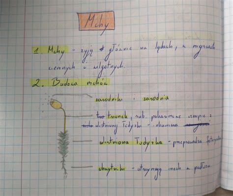 Zrób notatkę z biologii temat mchy i poza tym ona musi być długa co