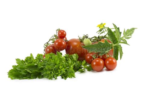 Tomatoes Parsley Stock Photo Image Of Food Gourmet 26452026