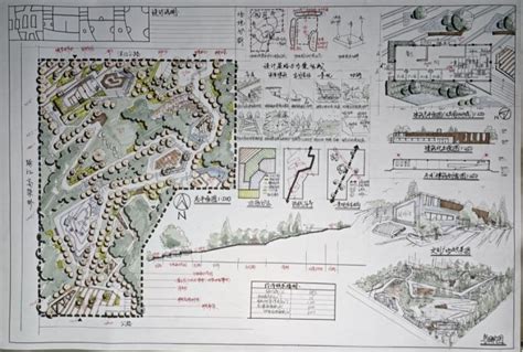 重庆大学风景园林考研考研经验只要有梦想，双非变一流！6个月一战上岸重大园林？！ 哔哩哔哩