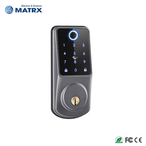 Electronic Fingerprint WiFi Tuya Code RFID Card Smart Door Lock Pin