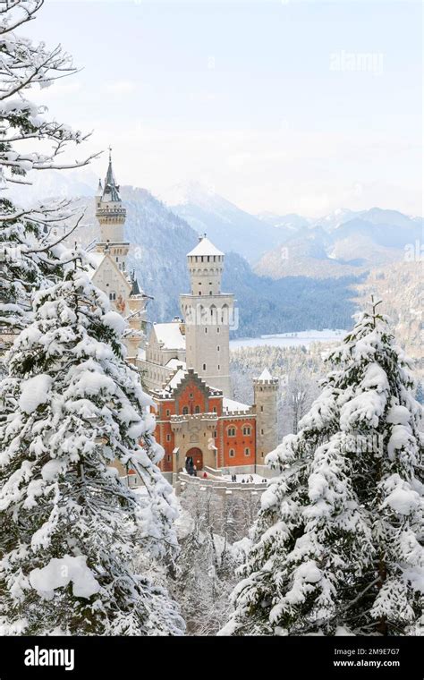 Neuschwanstein Castle, near Fuessen, winter, snow, Ostallgaeu, Allgaeu ...