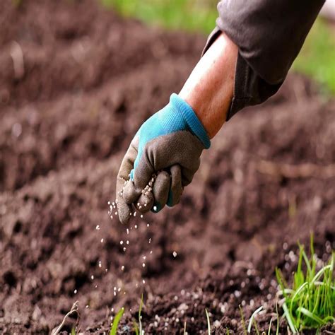 What Fertilizer To Use On Lawn Chicago Land Gardening