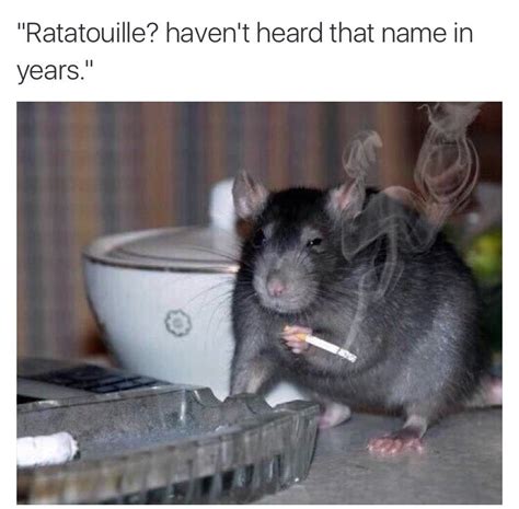 Ratatouille Cast Meme