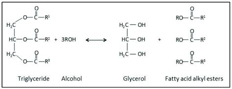 Scheme 1 The Transesterification Reaction Of Triglycerides Into Fatty