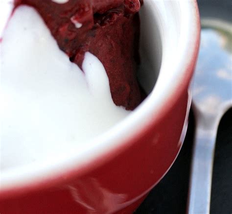 Recette Sorbet Aux Fruits Rouges Facile Rapide