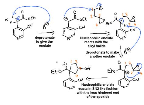 Chem Final Winter Mechanism