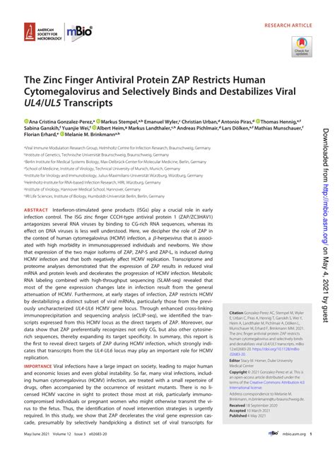 PDF The Zinc Finger Antiviral Protein ZAP Restricts Human