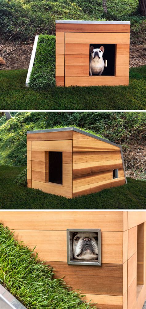 Studio Schicketanz Have Designed A Modern Dog House With A Green Roof