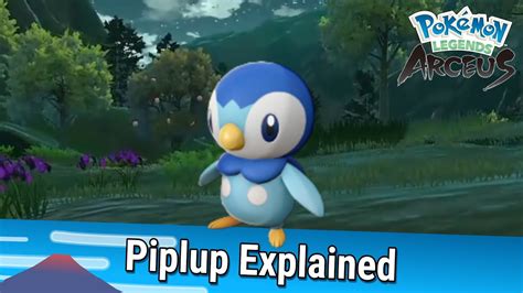 Piplup Explained Pokémon Legends Arceus YouTube