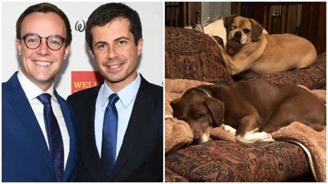 Pete Buttigieg’s Dogs Are Gaining Fans on Twitter | Heavy.com