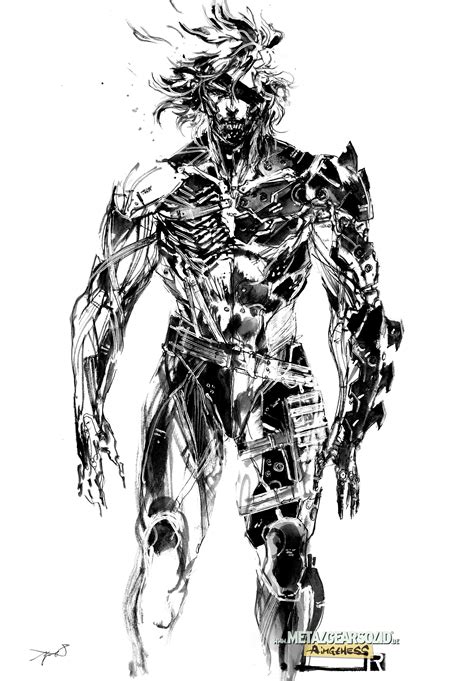 Artwork HD de Raiden dans Metal Gear Rising Revengeance -- Metal Gear ...